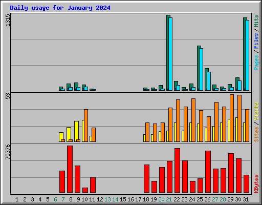 Daily usage for January 2024