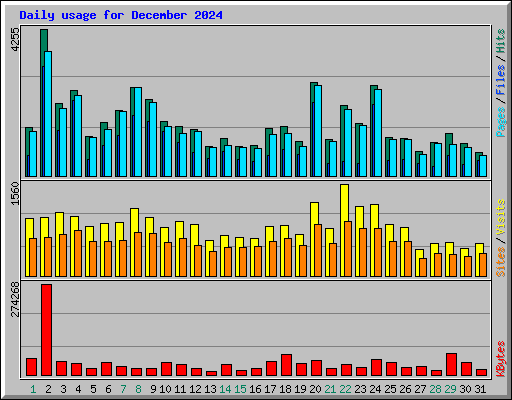 Daily usage for December 2024