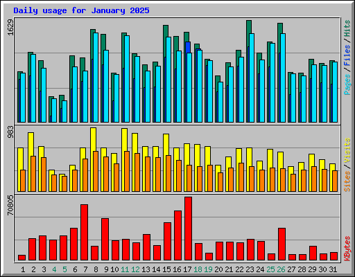 Daily usage for January 2025