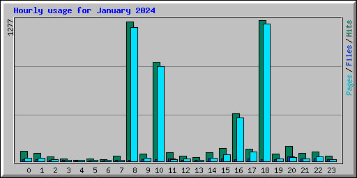 Hourly usage for January 2024
