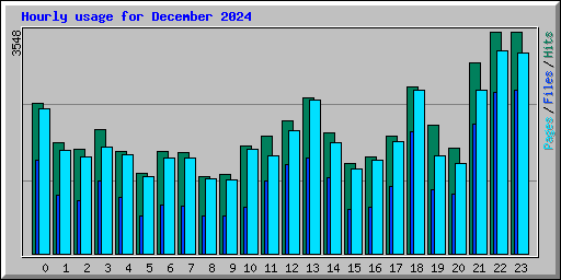Hourly usage for December 2024
