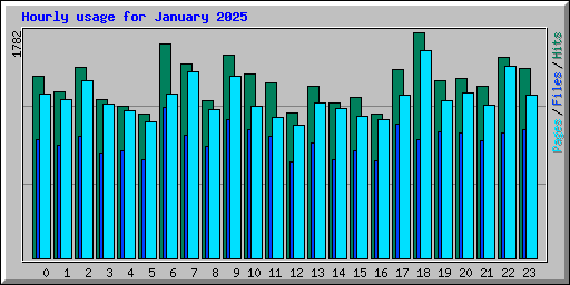 Hourly usage for January 2025