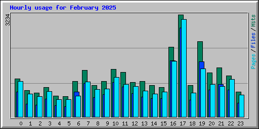 Hourly usage for February 2025