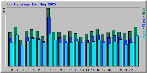 Hourly usage for May 2025