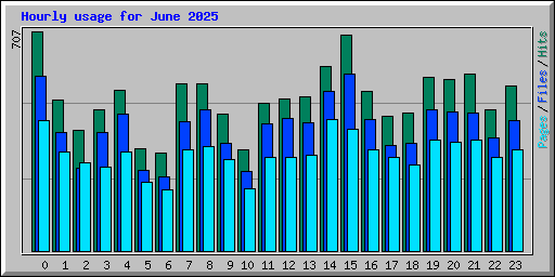 Hourly usage for June 2025