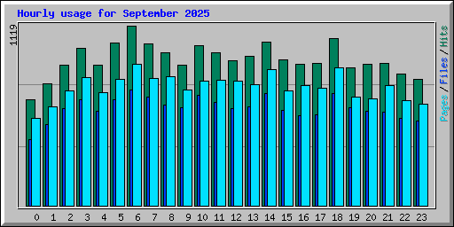 Hourly usage for September 2025