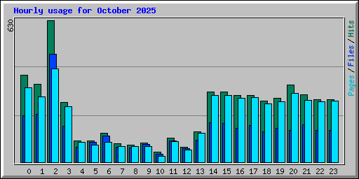 Hourly usage for October 2025