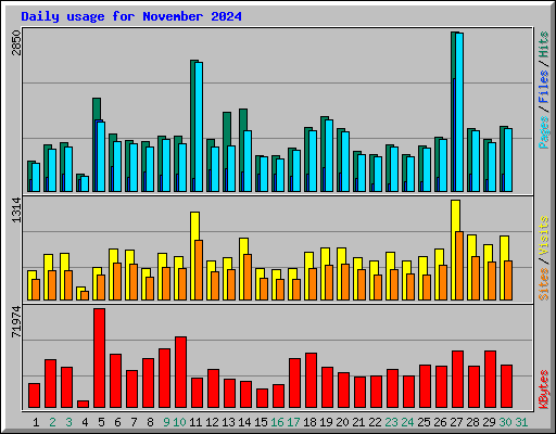 Daily usage for November 2024