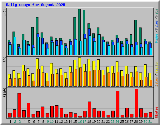 Daily usage for August 2025