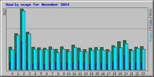 Hourly usage for November 2024
