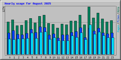 Hourly usage for August 2025